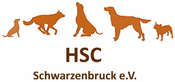 hsc-schwarzenbruck.de