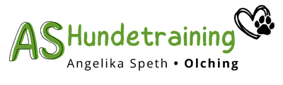 hundebetreuung-olching.de hundebetreuung-olching.de