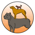 hundeschule-anders-artig.de